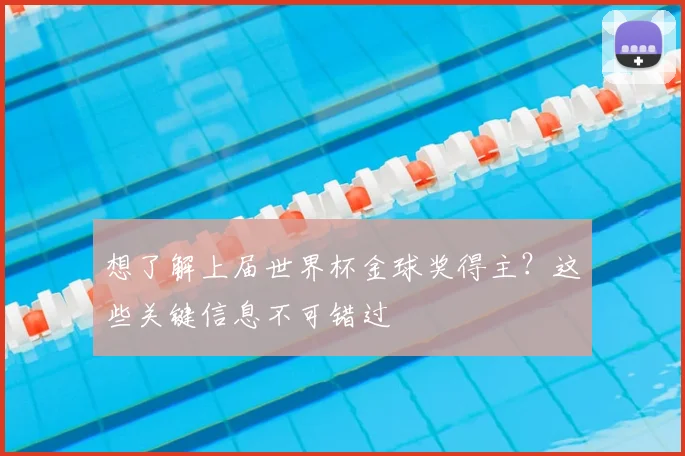想了解上届世界杯金球奖得主？这些关键信息不可错过