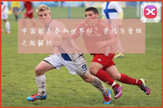 中国能否参加世界杯?资格与晋级之路解析